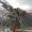 Project GBTB @Protag Tetra DLE Solution